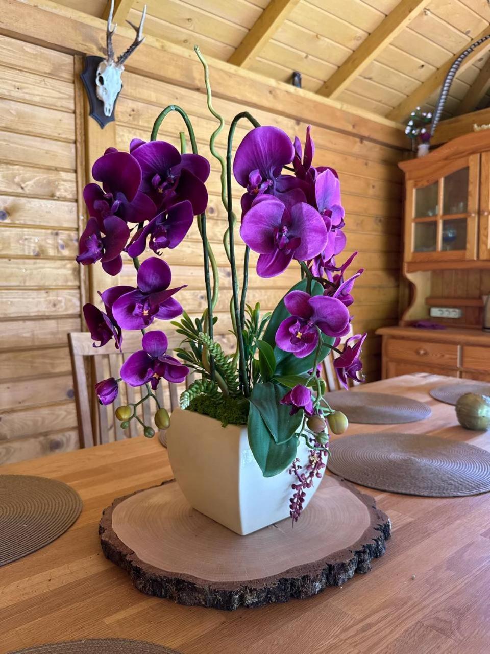 Appartement Apartamentai Renata Druskininkai